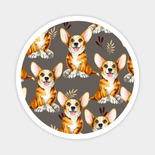 Dogs. Welsh Corgi puppies. Magnet